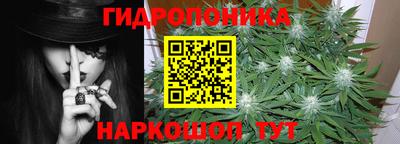 Альфа ПВП Гусев