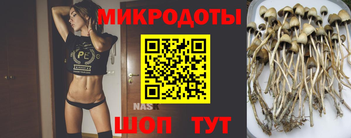 Псилоцибиновые грибы Psilocybine cubensis Мыски
